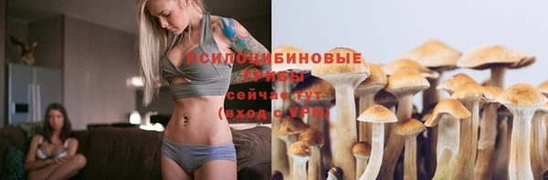 а пвп мука Алзамай