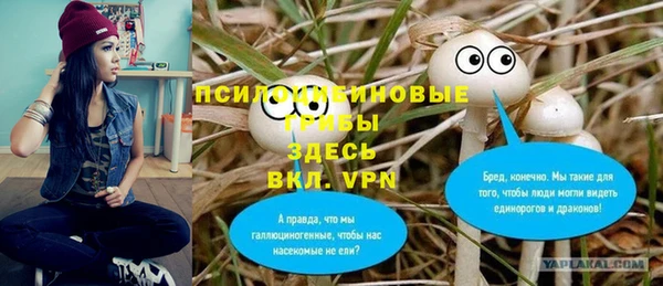 бутират Алексин