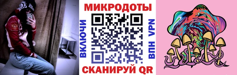 закладка  Пикалёво  Псилоцибиновые грибы Cubensis 